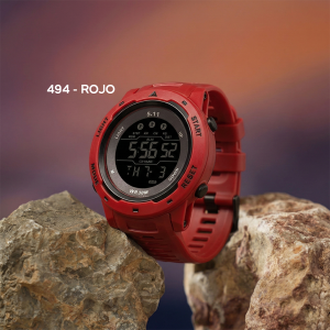 RELOJ N°494
