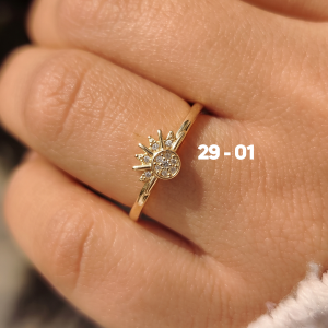 ANILLO N°29