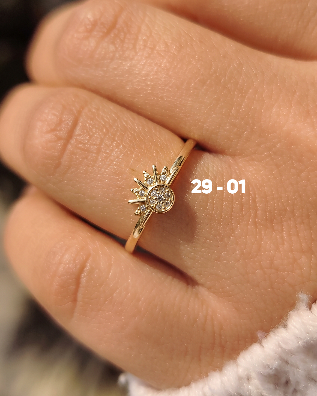 ANILLO N°29